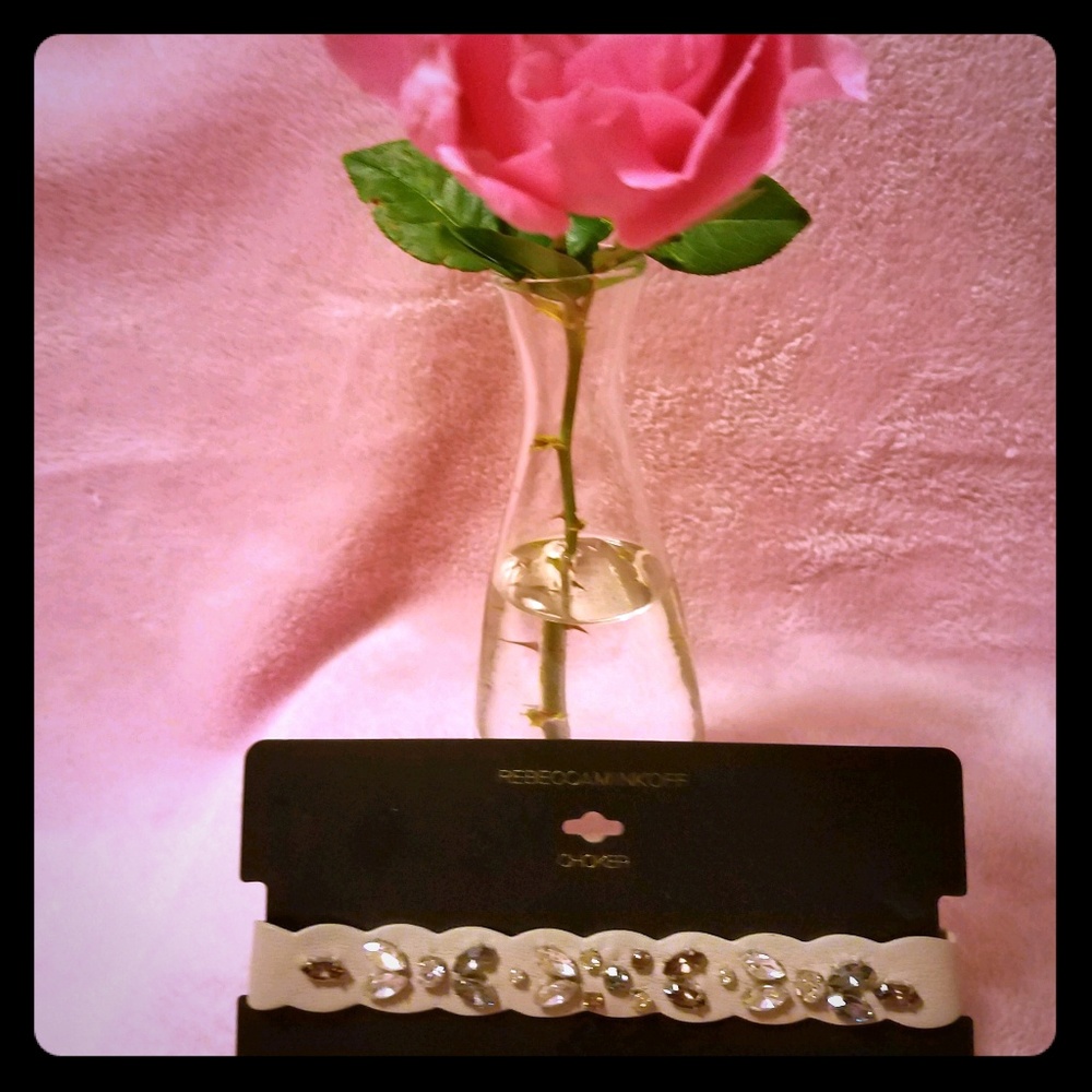 Rebecca Minkoff beautiful womans choker